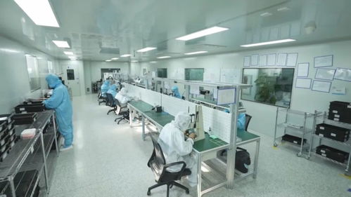 科技强国 创新在吉林发力，重点产业科技创新助推创新型省份建设